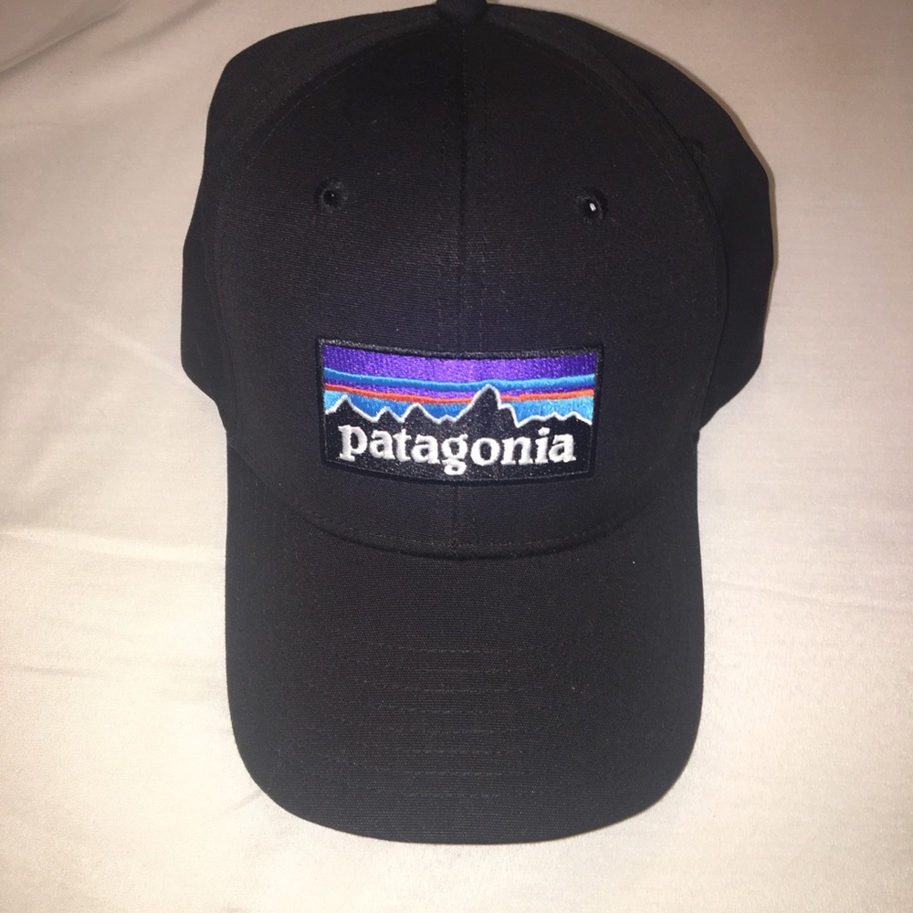 Patagonia snap back hat
